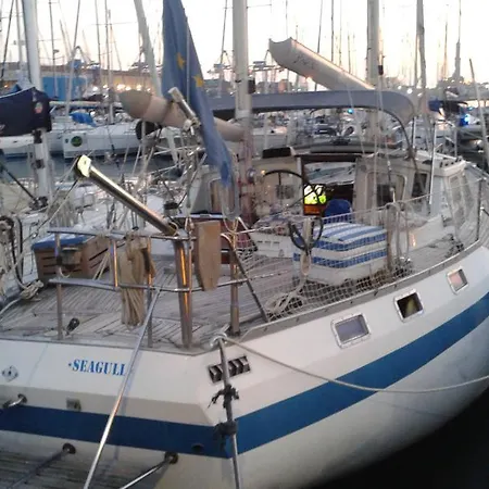 Seagull Genoa