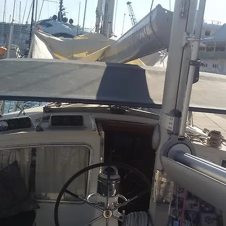 Seagull